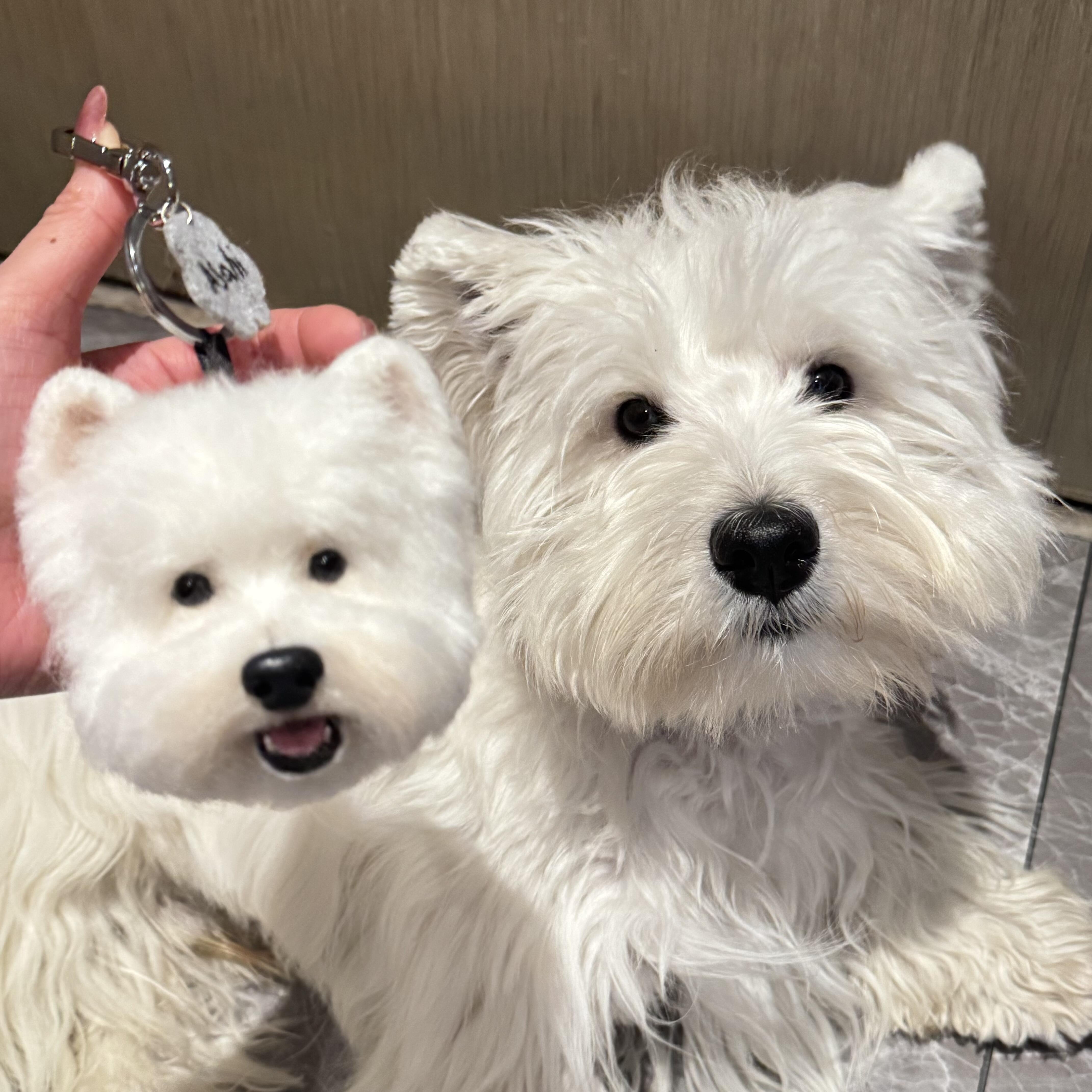 Custom Handmade Pet Head Keychain (8 -10cm)